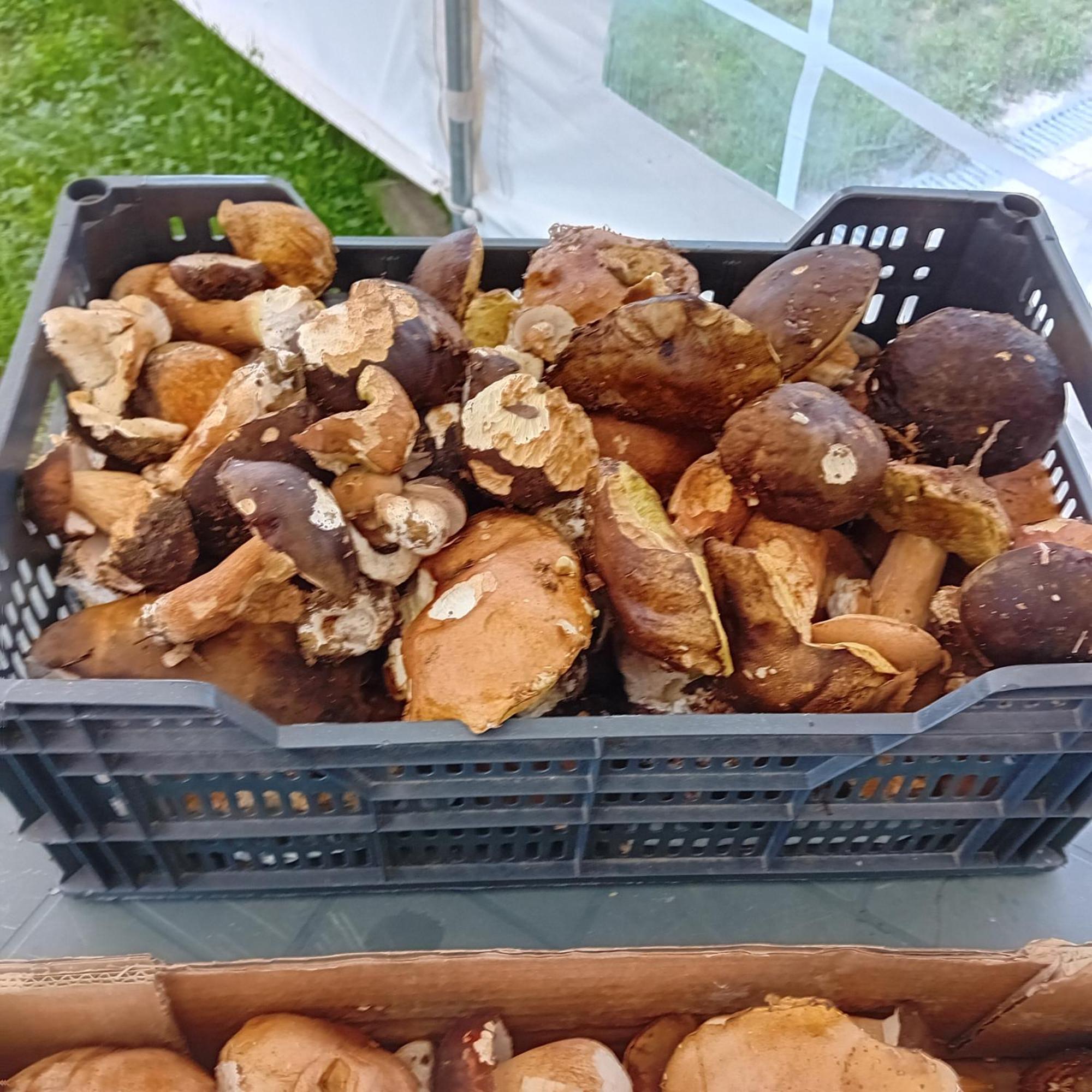 Clos A Malypense Chez Mr Montamat Galan المظهر الخارجي الصورة